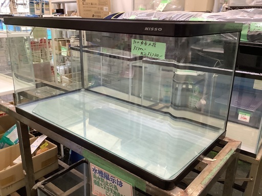 NISSO 90cm 曲面水槽 管4220519DK  (ベストバイ 静岡県袋井市)