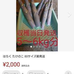 【たけのこ6kg分80サイズ段ボール一杯】web販売分半額セット