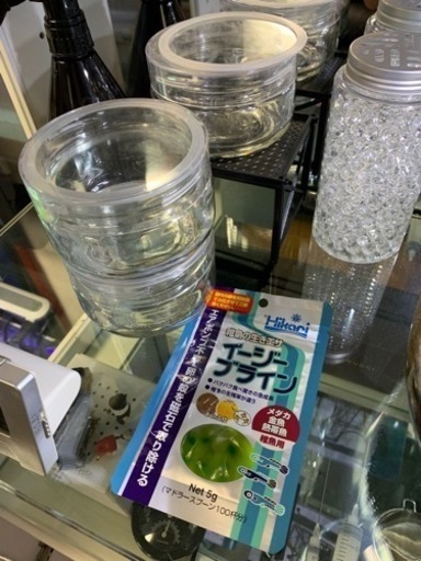 イージーブラインシュリンプ 皿式の皿セットです Yu 通谷のその他の中古あげます 譲ります ジモティーで不用品の処分