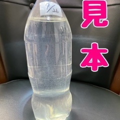 ゾウリムシ　1.5L ⑦