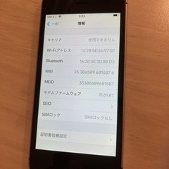 【ネット決済・配送可】初代iPhone SE スペースグレー 1...