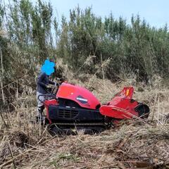 草刈り、庭木の剪定、伐採等やります♪　地域密着！　旭市、銚子市周辺 − 千葉県