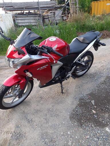 CBR250R MC41 実働 自賠責つき | ddpu.co.uk