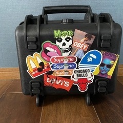 Nikon1 J5 ダブルレンズキット カバーセット