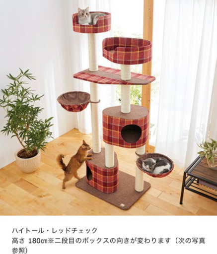 ペピィクラブ　ロイヤルショコラタワー　キャットタワー　可愛い赤チェック
