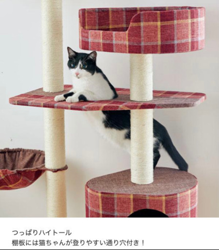 ペピィクラブ　ロイヤルショコラタワー　キャットタワー　可愛い赤チェック