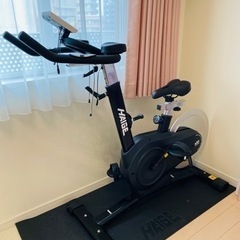 HAIGE ハイガー スピンバイク エアロバイク HG-EX-5000 バイク