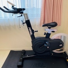 HAIGE ハイガー スピンバイク エアロバイク HG-EX-5000 バイク