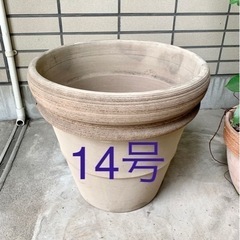 イタリア製テラコッタの植木鉢　など2個セット