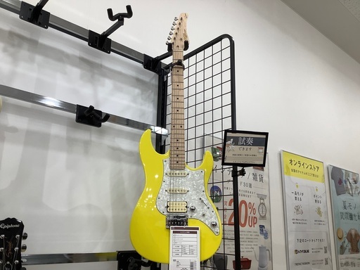 FgN エレキギター | pik-vinkovci.hr