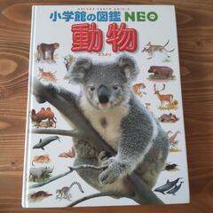 小学館の図鑑NEO　動物