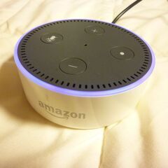 Amazon Echo Dot アマゾン エコードット 第2世代...