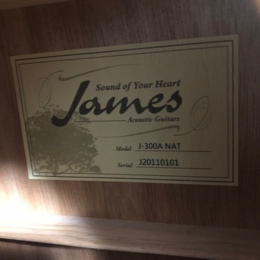 James J-300A NAT ナチュラル アコースティックギター ジェームス J300A