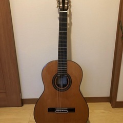 値下げしました　アコースティックギター　アリアA50c-63