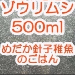 ゾウリムシ　ぞうりむし　餌　メダカ　金魚　針子