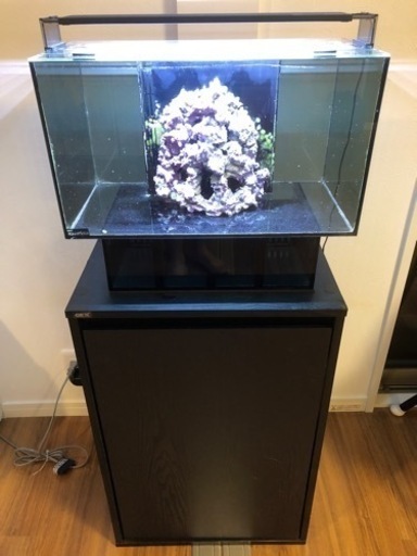 GEX 水槽 アグス 45cm オーバーフロー  GEX 水槽台 セット　特注 ライブロック レプリカ おまけ