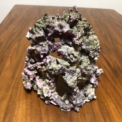 GEX 水槽 アグス 45cm オーバーフロー  GEX 水槽台 セット　特注 ライブロック レプリカ おまけ