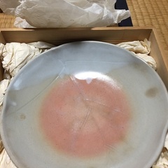 20cm 皿