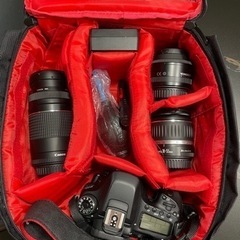 最終値下げ【レンズセット】CANON EOS 80D