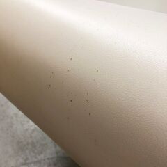 E&Y FLY SOFA ホワイト 2人掛 ソファベッド カウチ マイケル・ヤング