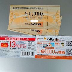 ビックカメラ株主優待券2000円分（クーポン付き）