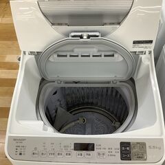 1年保証付き SHARP 縦型洗濯乾燥機 【トレファク岸和田店】