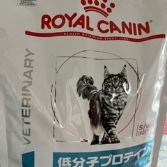 【ネット決済・配送可】ロイヤルカナン猫　2kg×2袋