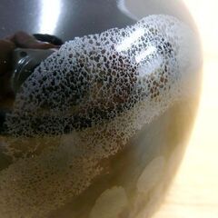 天目器 茶碗 青木龍山 共箱 栞 天目花紋 文化勲章作家 札幌市手稲区