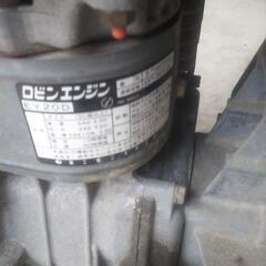 ロビンポンブ!！お値下げしました!