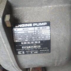 ロビンポンブ!！お値下げしました!