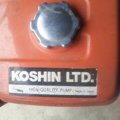 ロビンポンブ!！お値下げしました!