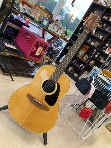 applause AE-135 12Strings Guitar エレアコ　美品✨