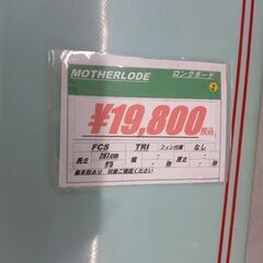 MOTHERLODE 9\'5 ロングボード