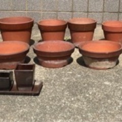 福岡県のテラコッタ鉢の中古が安い!激安で譲ります・無料であげます