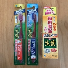 小林製薬　生葉　薬用ハミガキ　歯ブラシ　