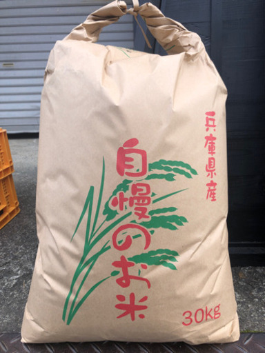 令和6年新米30kまとめ買い5袋！引取限定！丹波篠山産こしひかり！