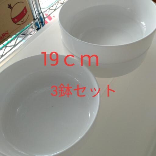 19ｃｍ鉢