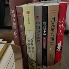 中国語本 中文书