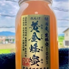 【ネット決済・配送可】国産蜂蜜れんげ　(1kg ×3) 3kg ...