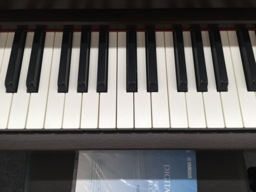 移転リニューアルセール 表示価格より全品5000円引き 7月10日まで i281