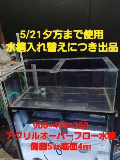 本日のみ掲載　900×450×350アクリルOF水槽　１週間補償あり