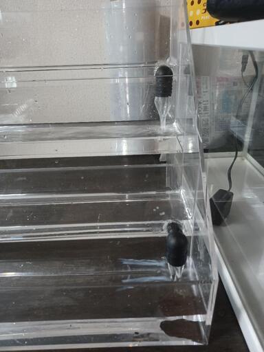 本日のみ掲載。水草展示用・ベタストック用アクリル水槽　１週間補償あり 本日のみ掲載。水草展示用・ベタストック用アクリル水槽 1週間補償あり