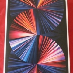 【美品】iPad pro 12.9 256GB Wifi 第5世代 スペースグレー