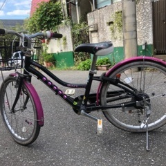 20インチ　子ども用自転車　ブリヂストンワイルドベリー