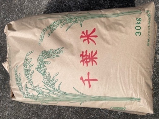 【2022年9月中旬以降】新米コシヒカリ30kg　白米　玄米