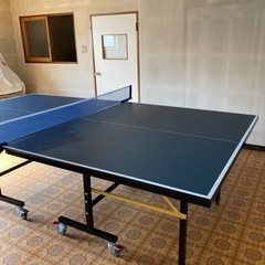 卓球台　NBLコクサイ16 