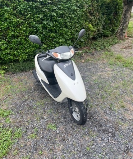 ホンダAF62Dio 実動エンジン◎埼玉◎原付エンジン ディオ 実動 50cc ホンダ（HONDA） ライブディオZX | Live Dio ZXの型式・スペック