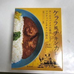 【ネット決済】ケララ風チキンカレー　【エピタフカレー】