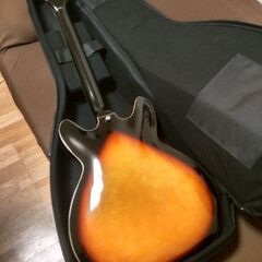 Hagstrom Viking 純正セミハードケース付属 Hagstrom Viking 純正セミハードケース付属