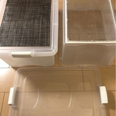 爬虫類・淡水魚用】餌用デュビアまとめて